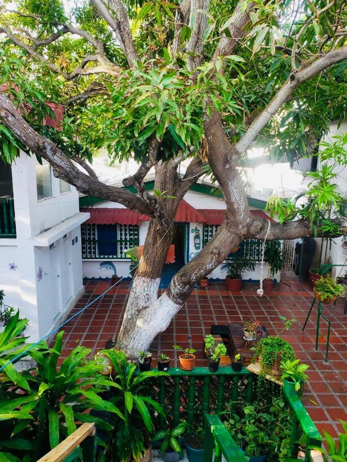 Tita'S Airport Hotel Cartagena Exterior foto